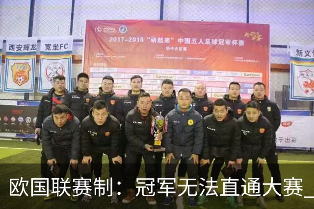 欧国联赛制：冠军无法直通大赛 各联赛存升降级