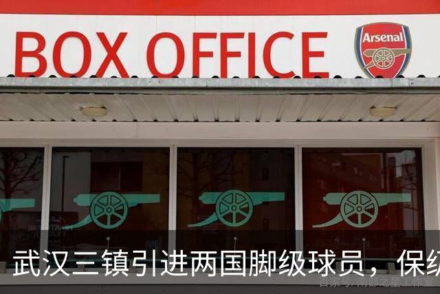 武汉三镇引进两国脚级球员，保级前景乐观